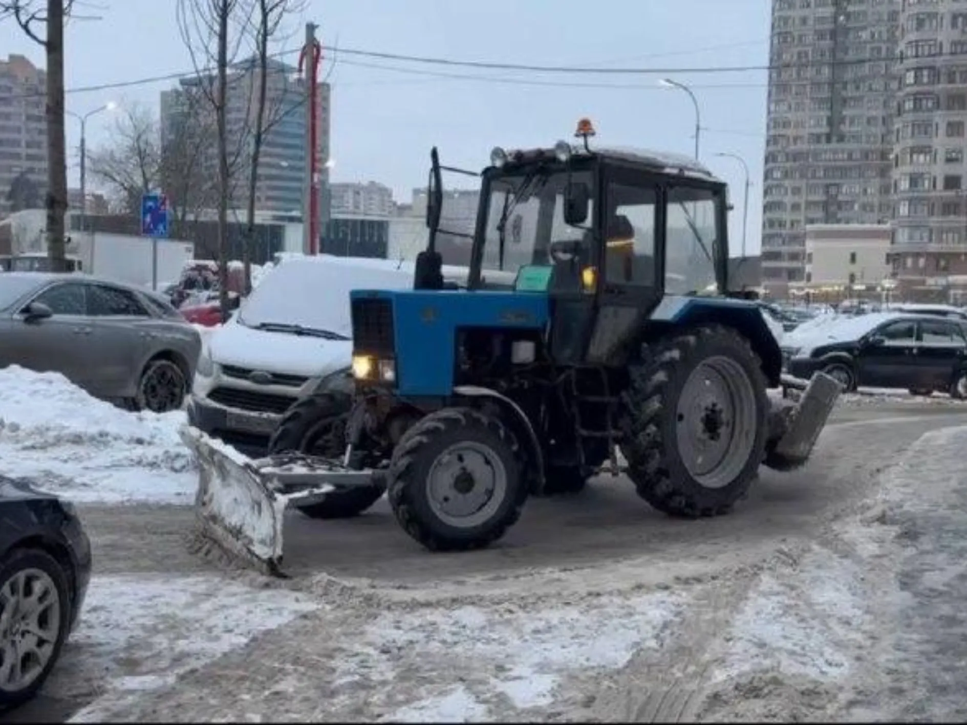 Фото: Раменский медиацентр