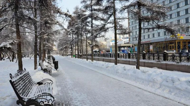 Двадцать две зоны массового отдыха благоустроили в Подмосковье с начала года