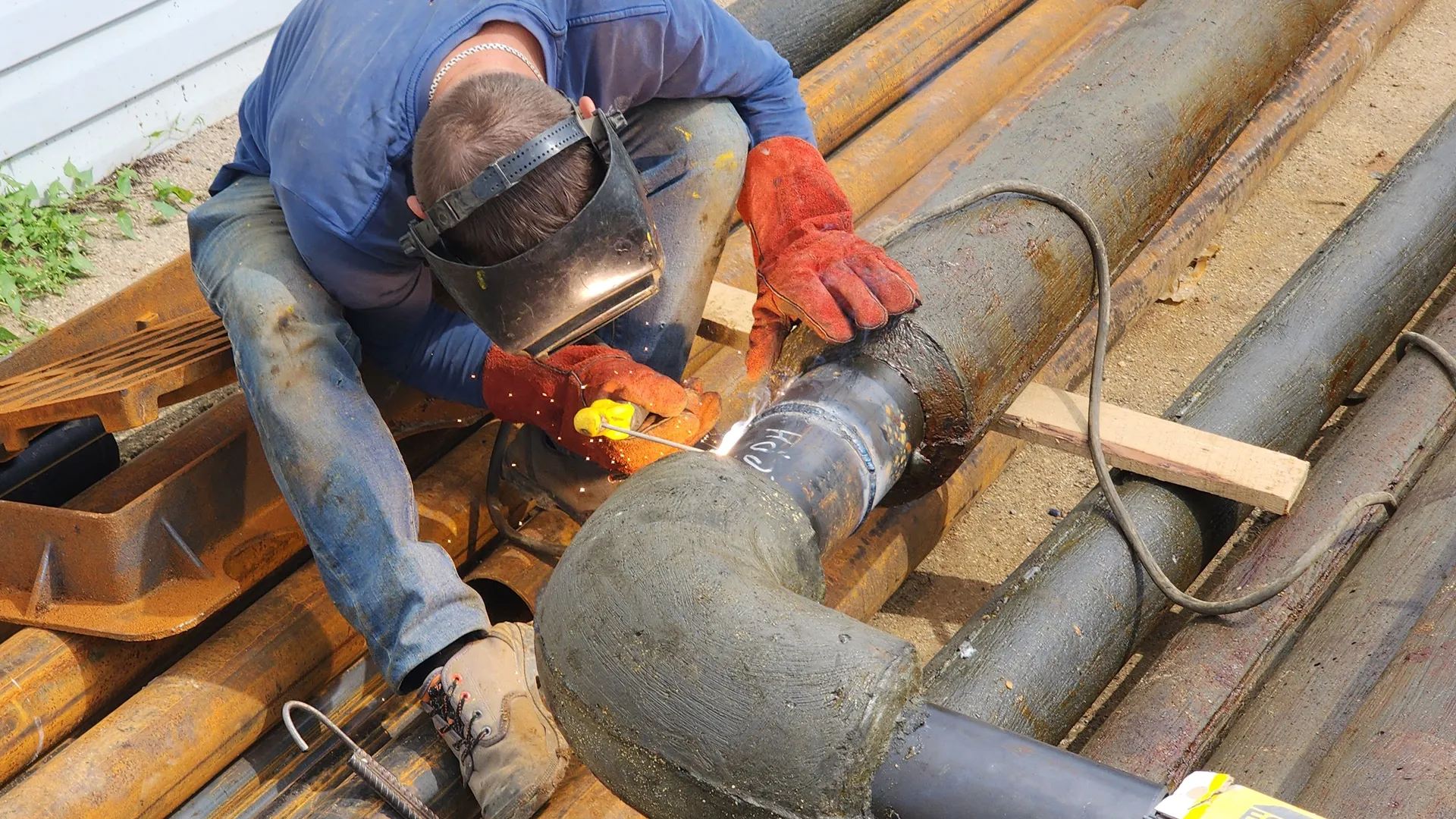 Фото: МедиаБанк Подмосковья/Екатерина Данилина