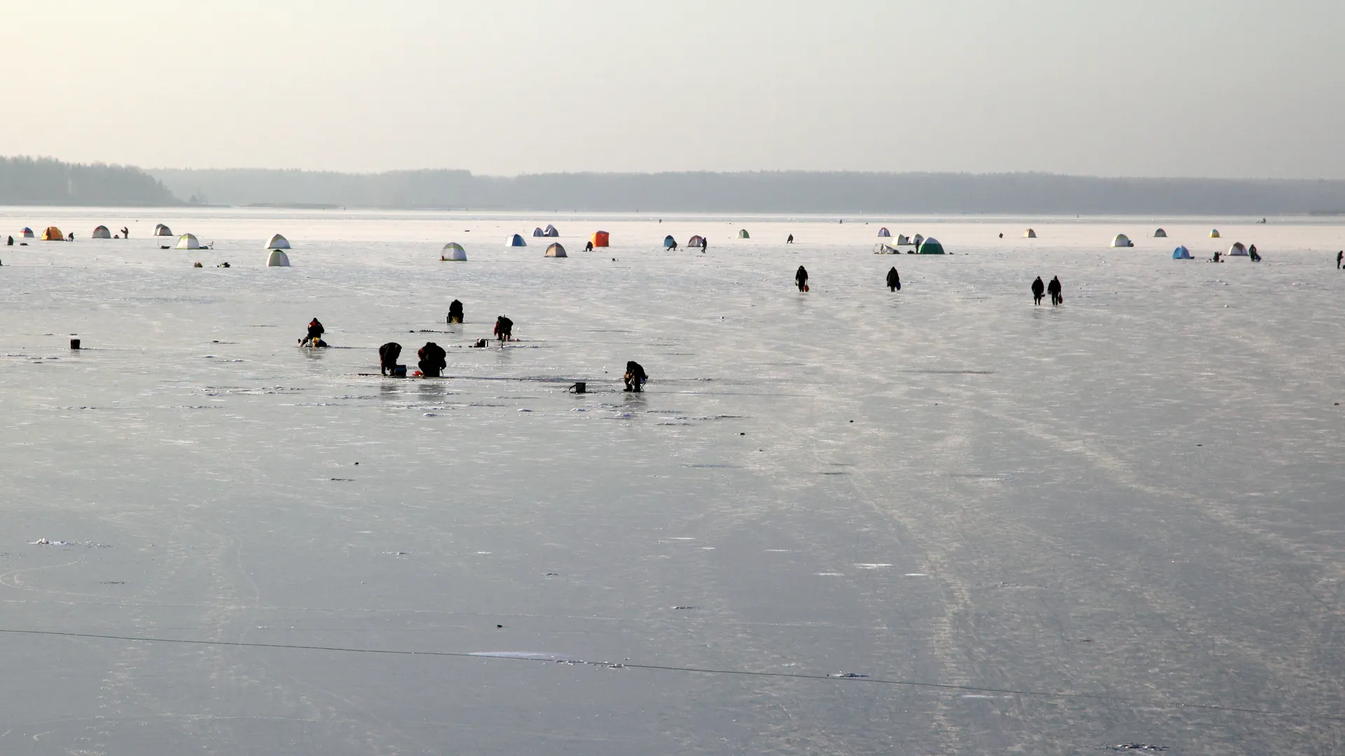 Медиаархив Подмосковья