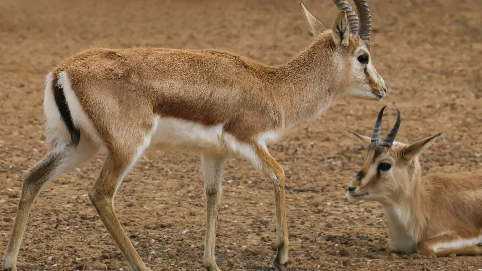 Фото: istockphoto.com