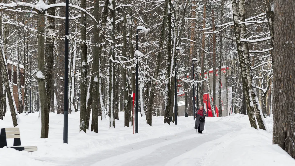 Фото: медиасток.рф