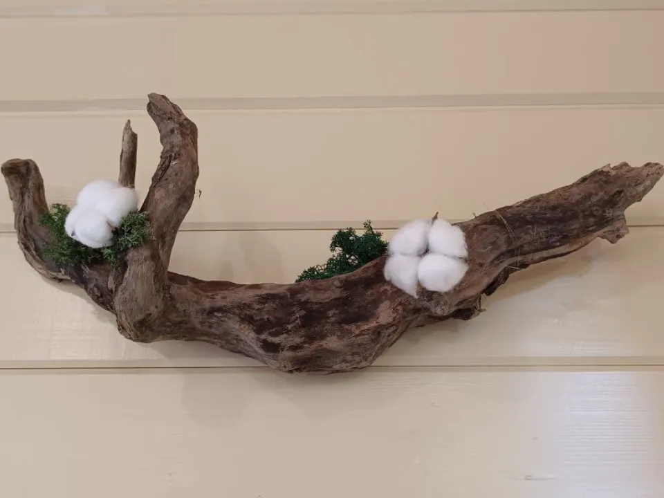 Фото: Екатерина Федосеева