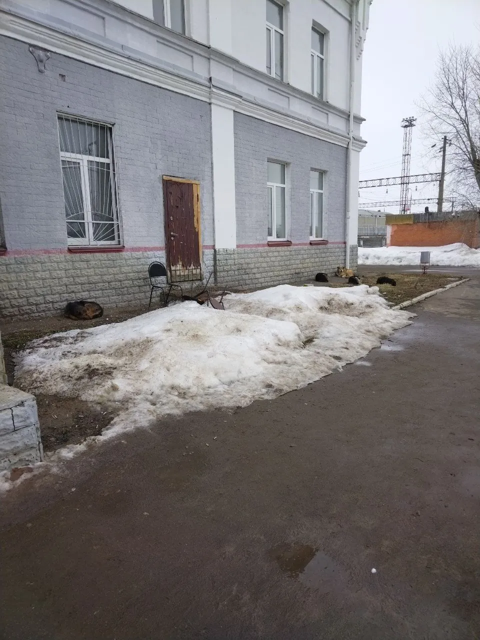 Юлия Шатохина