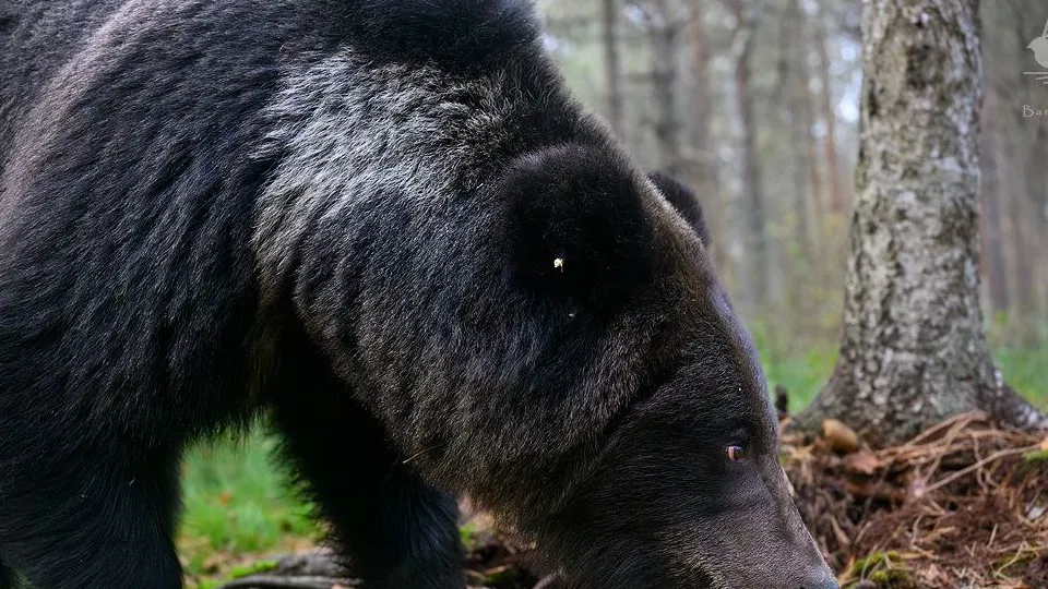 Фото: личный архив Игоря Барташова