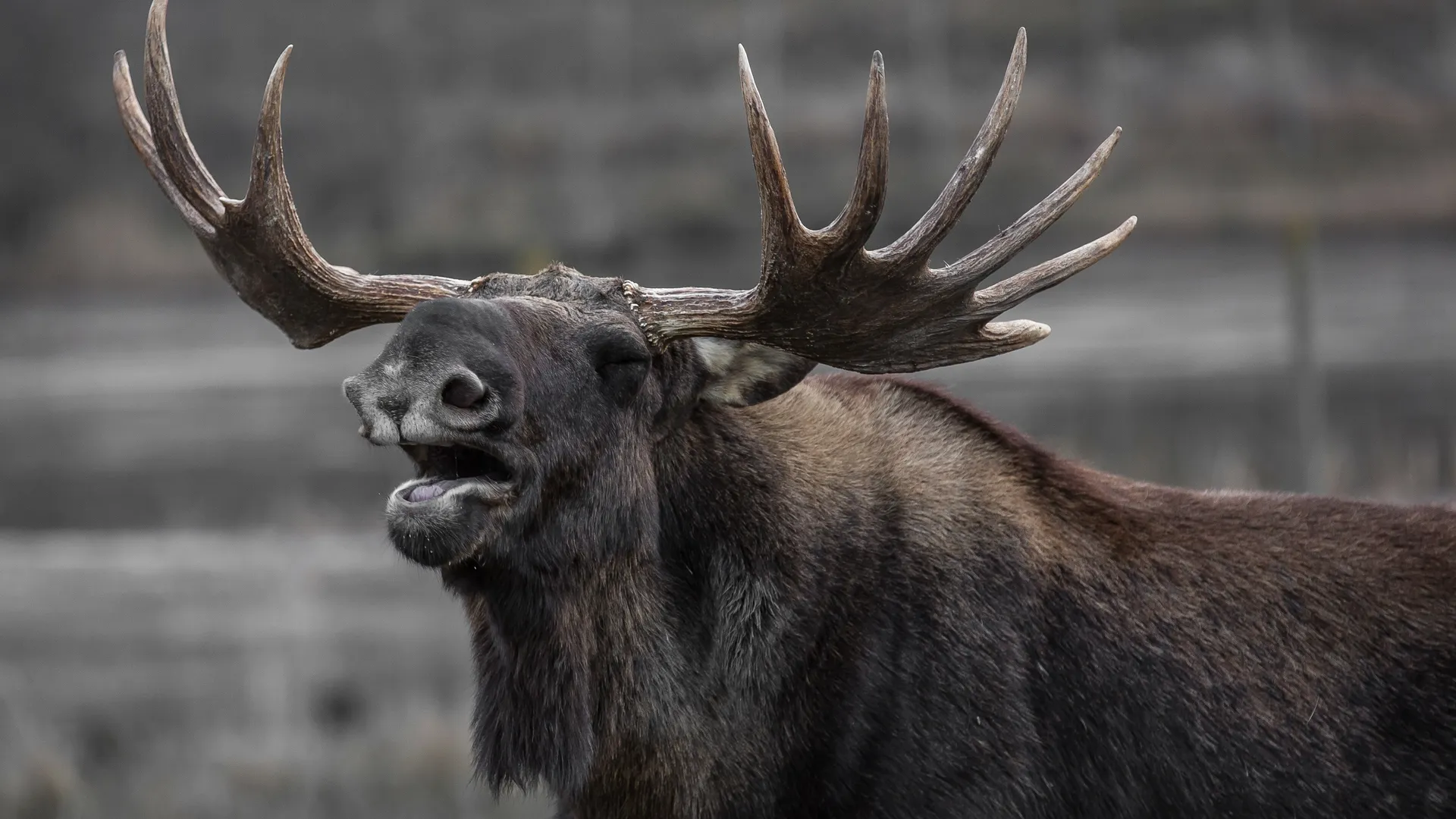 Фото: https://pxhere.com