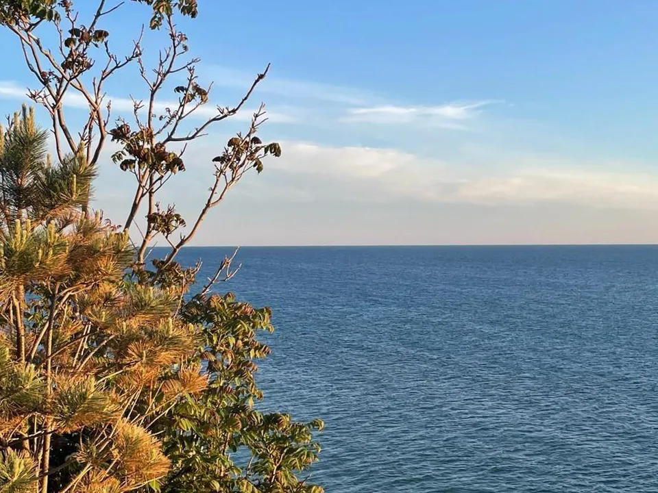 Фото: министерство социального развития Московской области