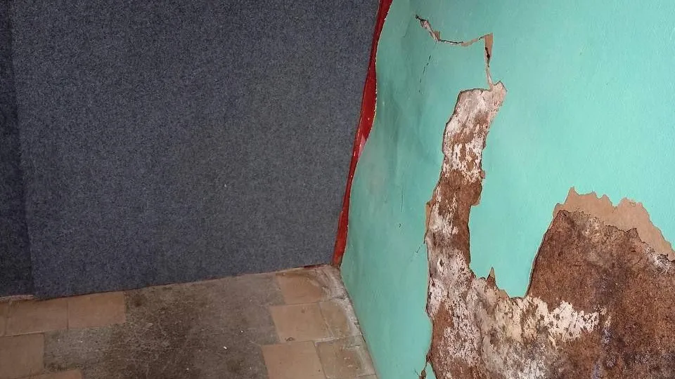 Фото: социальные сети.