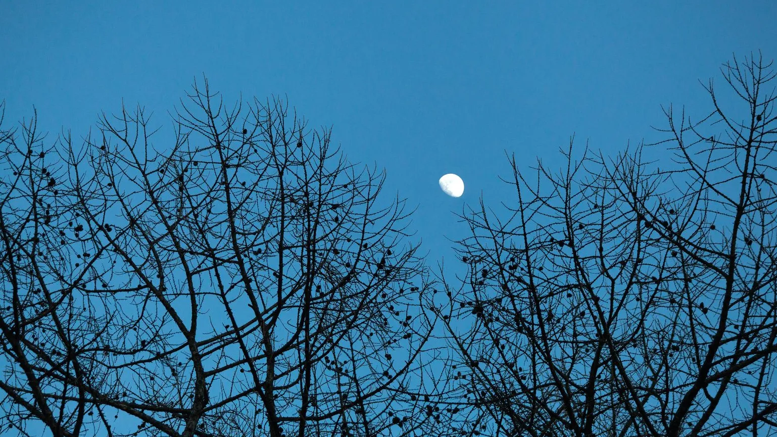 медиасток.рф