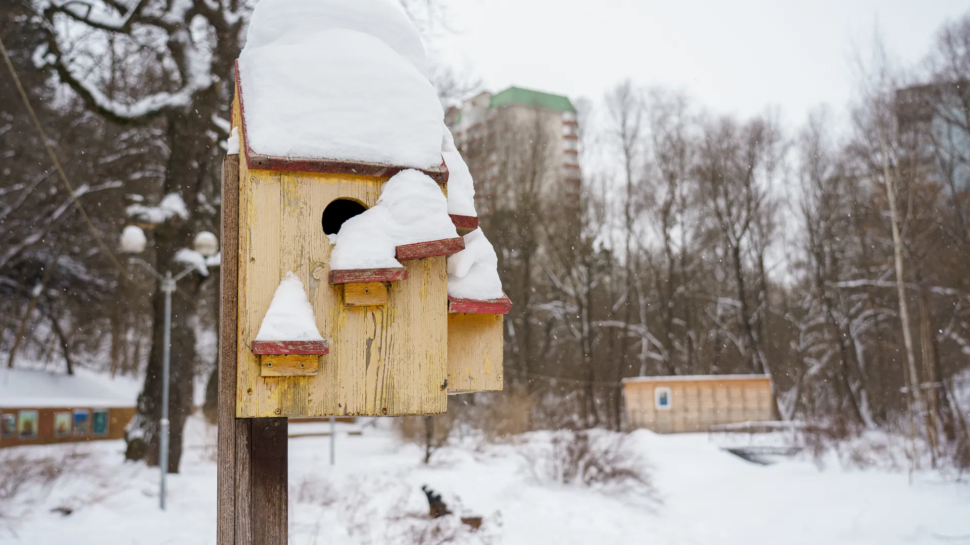 медиасток.рф