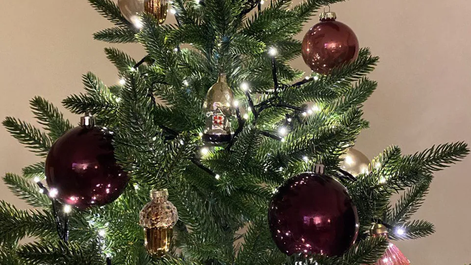 Фото: REGIONS/Елизавета Михайлова