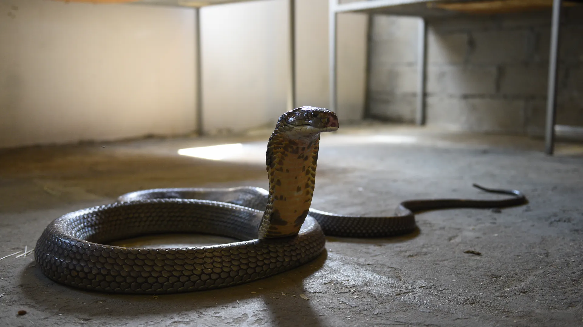 медиасток.рф