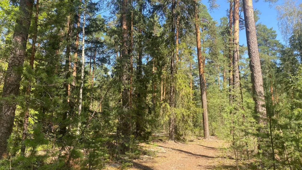 Фото: Оксана Бирюкова