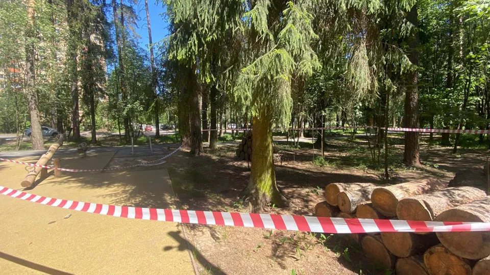 Фото: МКУ «Пушкинское городское хозяйство»