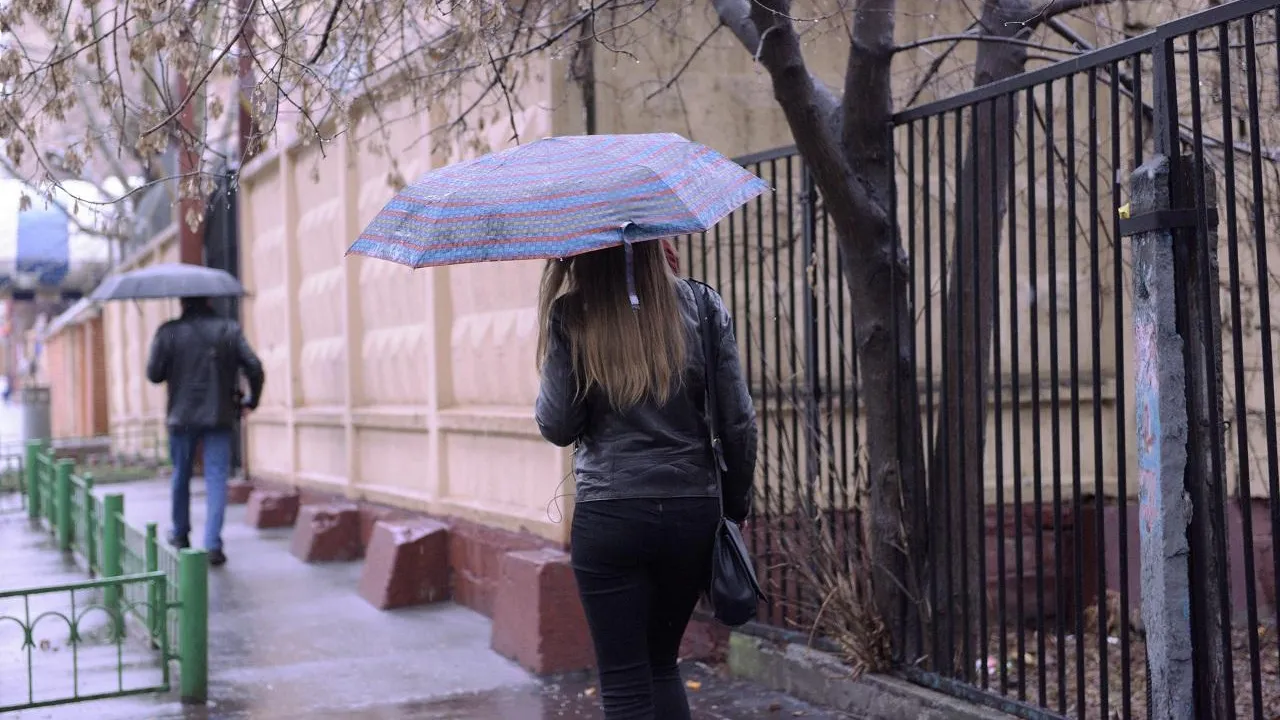 Жителям Подмосковья рассказали о погоде во вторник