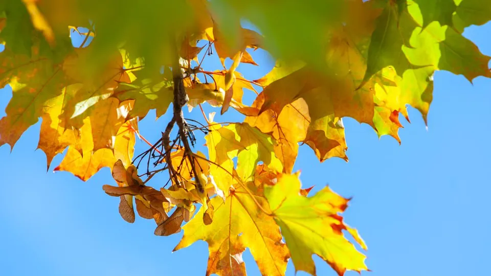 Фото: REGIONS/Роман Малышенко