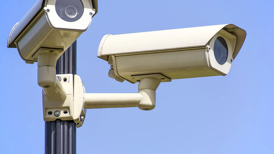 Фото: pxhere.com