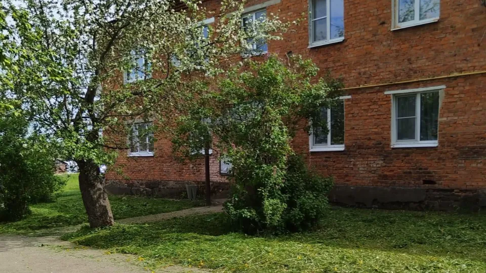 Фото: пресс-служба администрации м.о. Лотошино