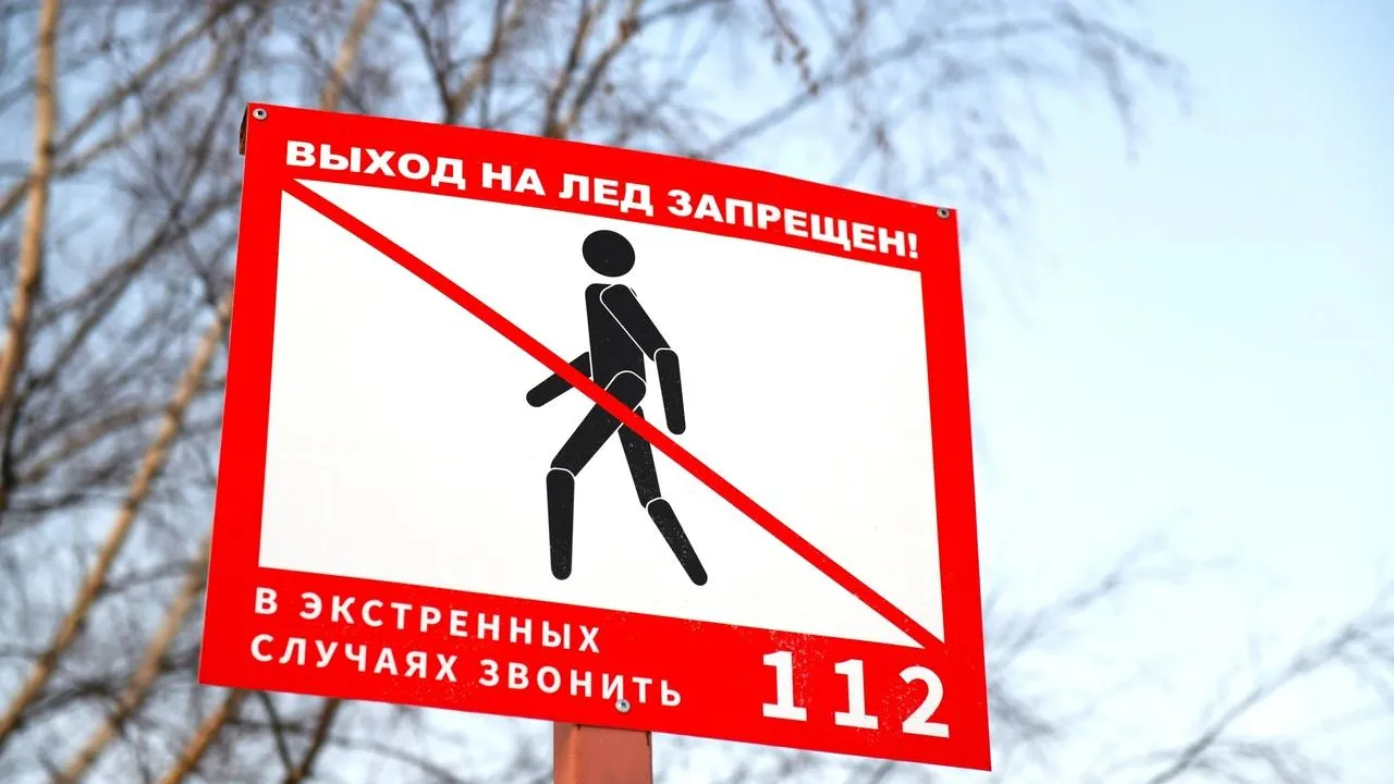 Фото: пресс-служба администрации г. о. Лыткарино