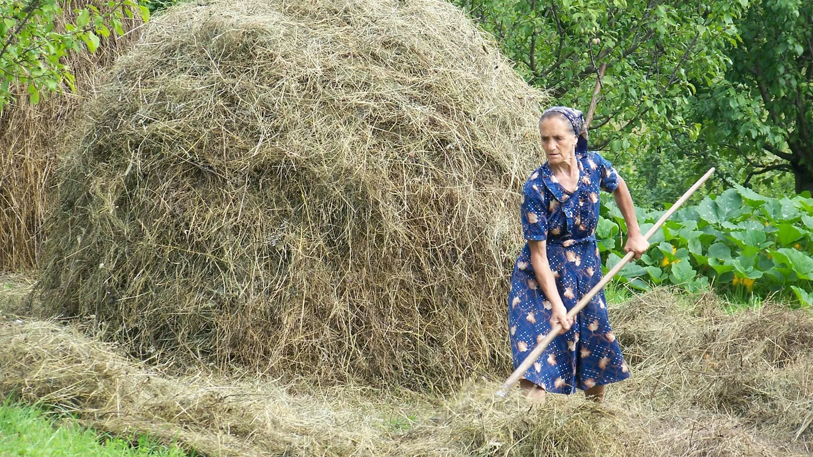 Фото: pxhere.com