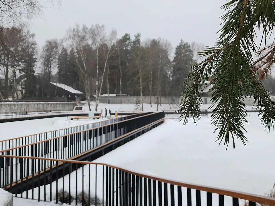 Фото: МедиаБанк Подмосковья/Валерия Тингаева