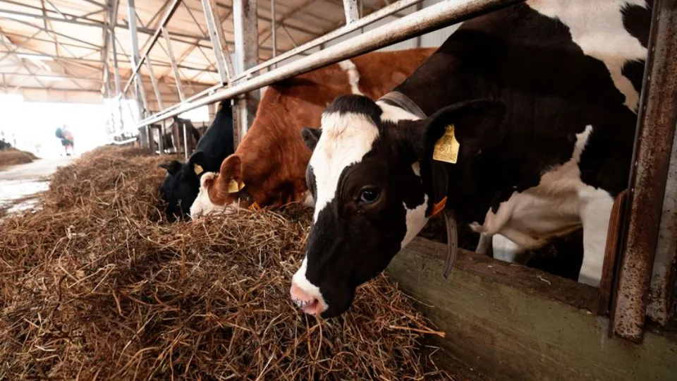 Фото: медиасток.рф