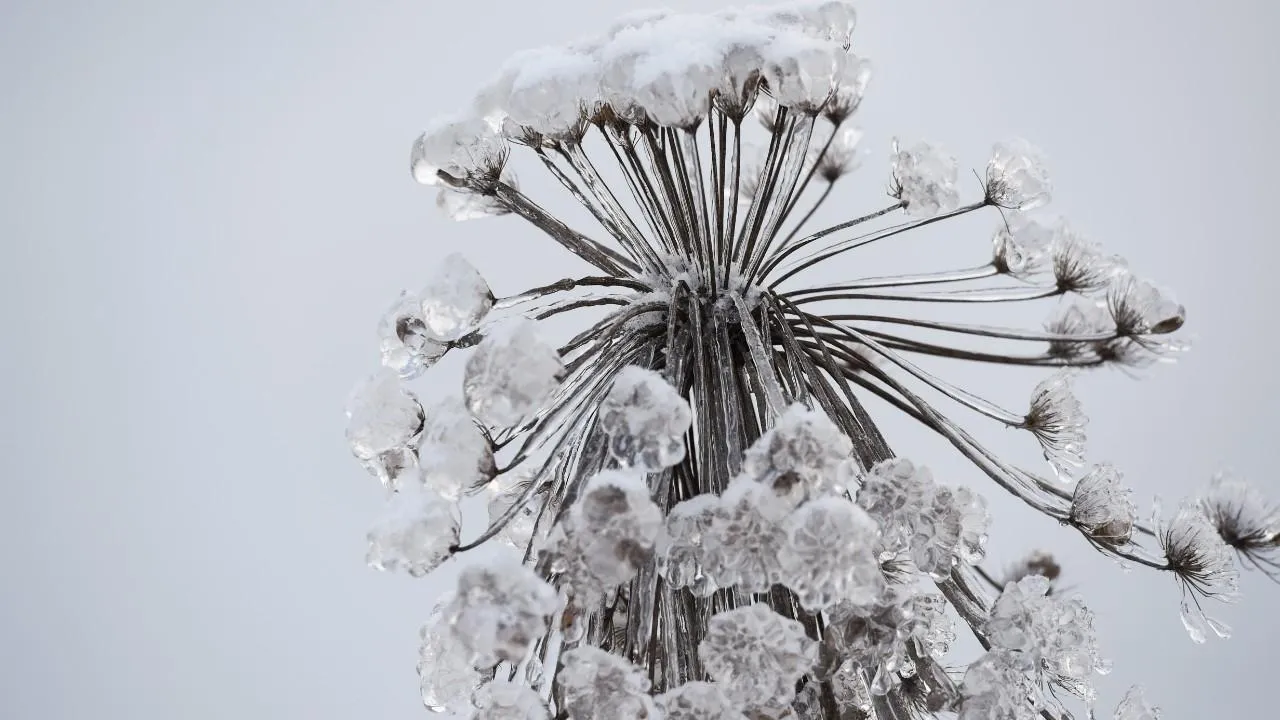 медиасток.рф