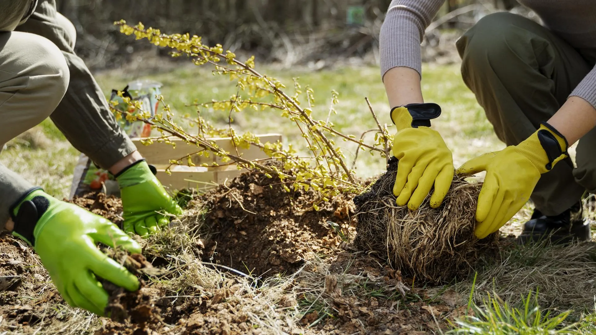 Изображение от Freepik