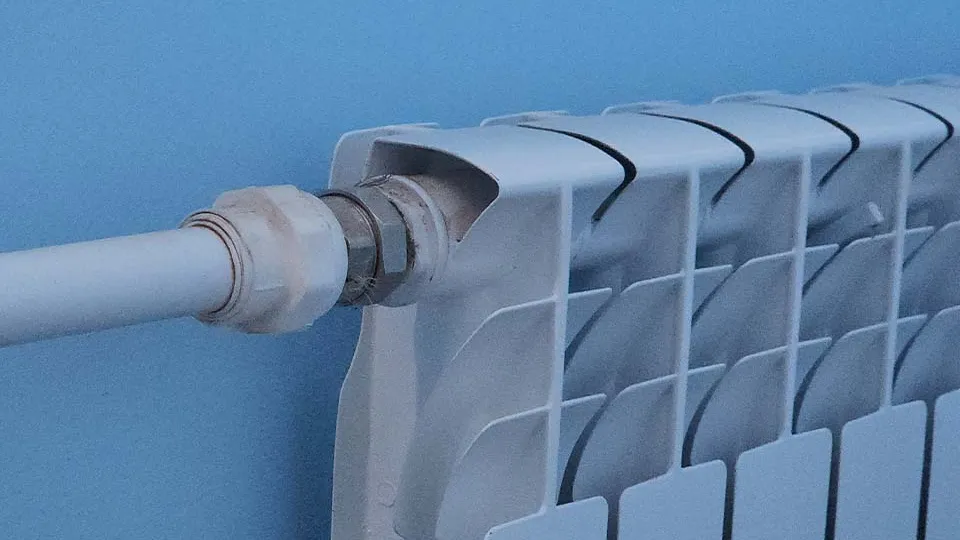 Фото: МедиаБанк Подмосковья/Роман Кутузов