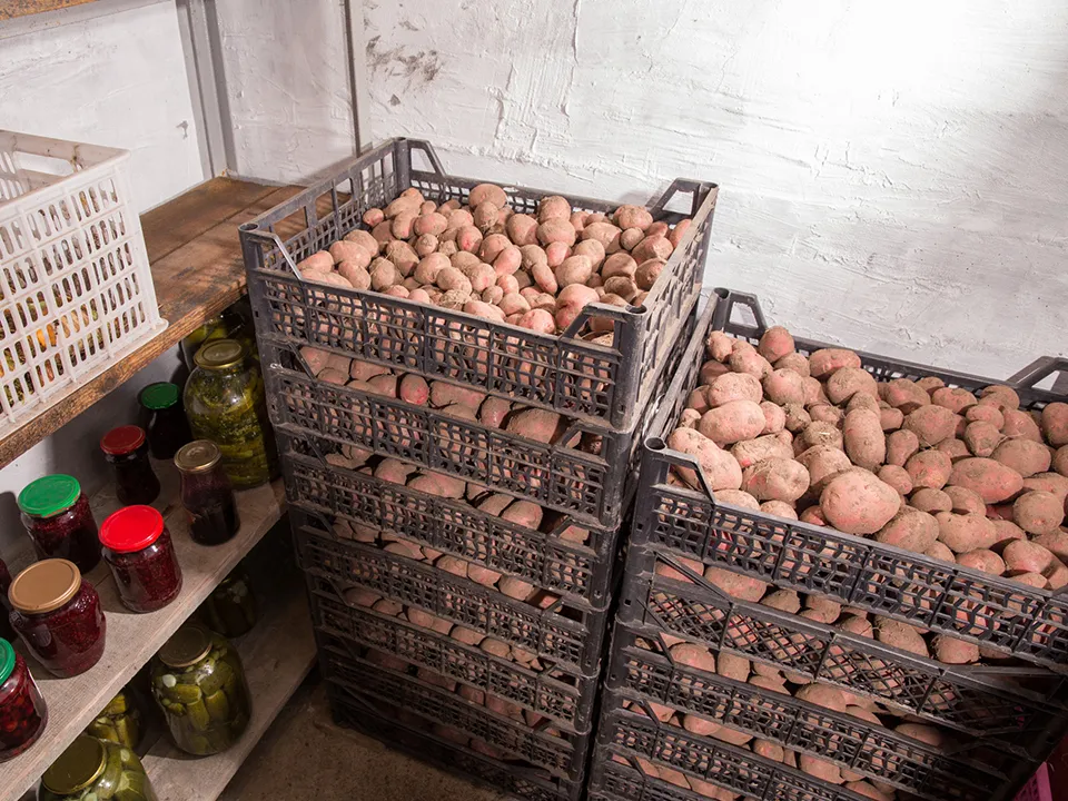 Фото: istockphoto.com