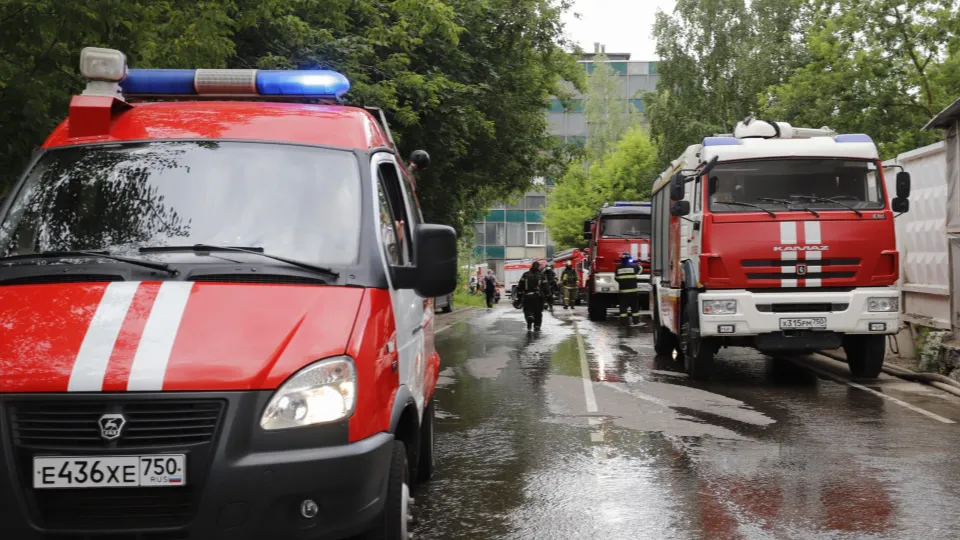 Фото: администрация г.о. Фрязино