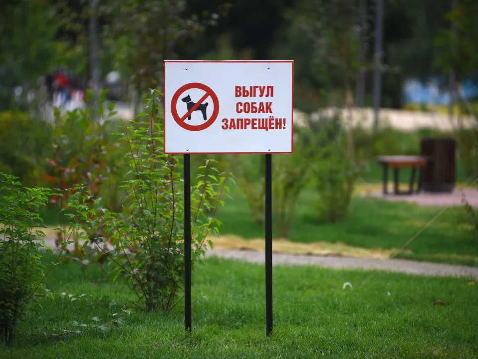 Фото: медиасток.рф&nbsp;&nbsp;