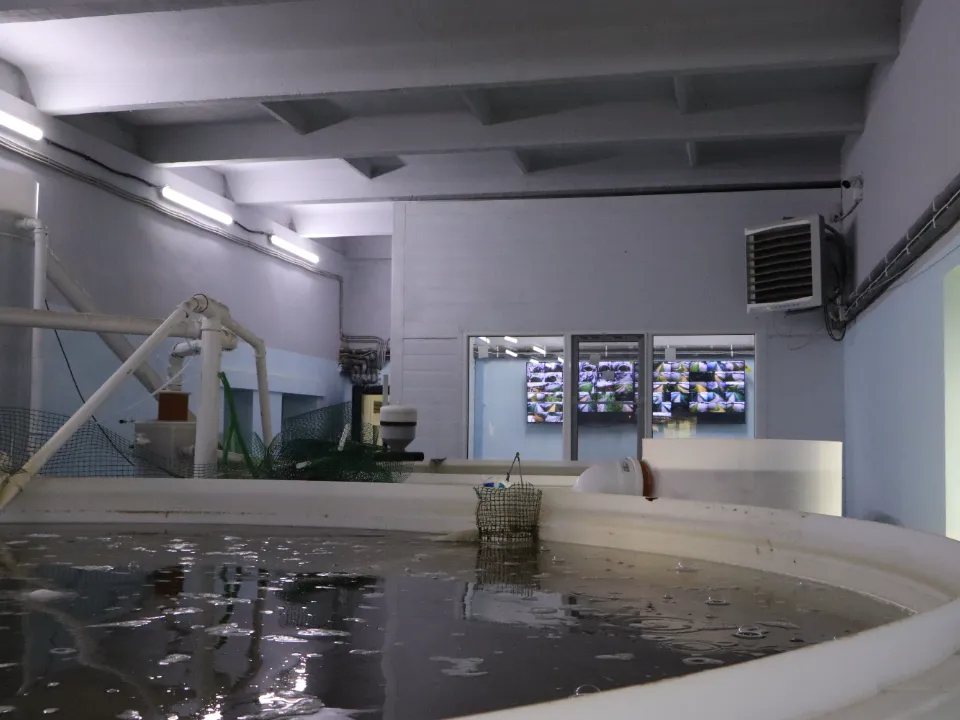 Фото: МедиаБанк Подмосковья/Ирина Матвеева