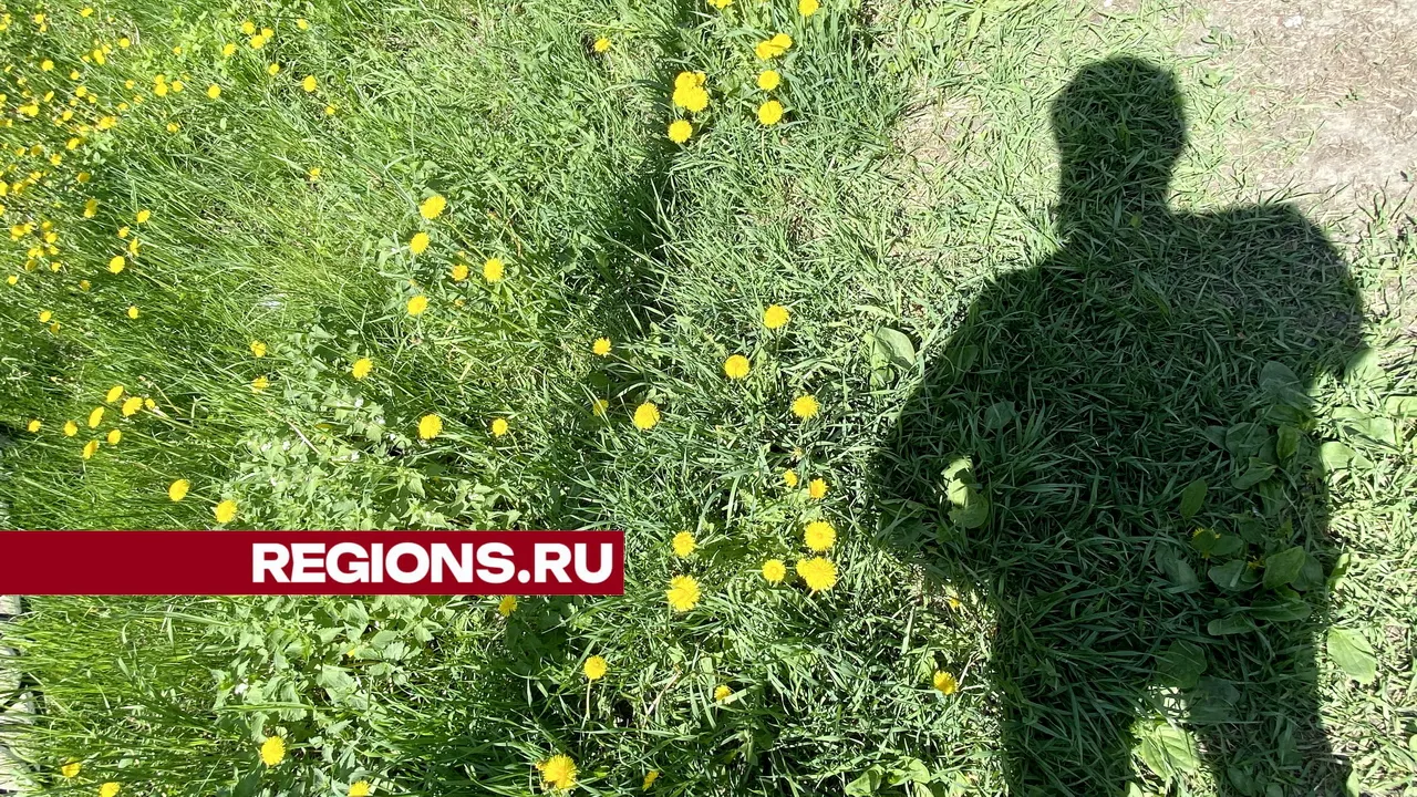 Фото: ©Александр Легкий