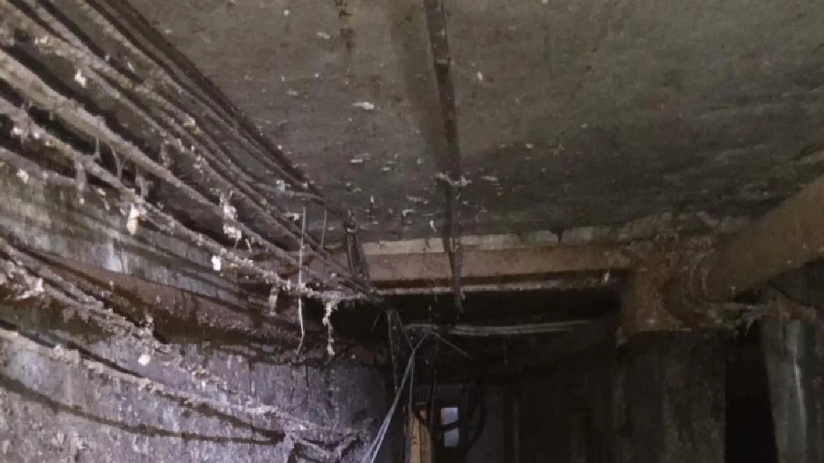 фото: портал «Добродел»