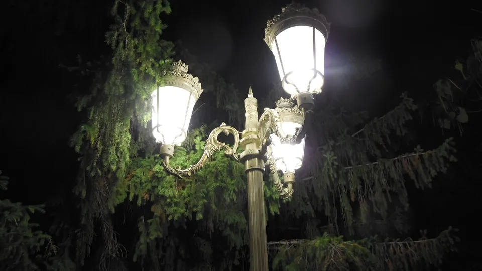 Фото: pxhere.com