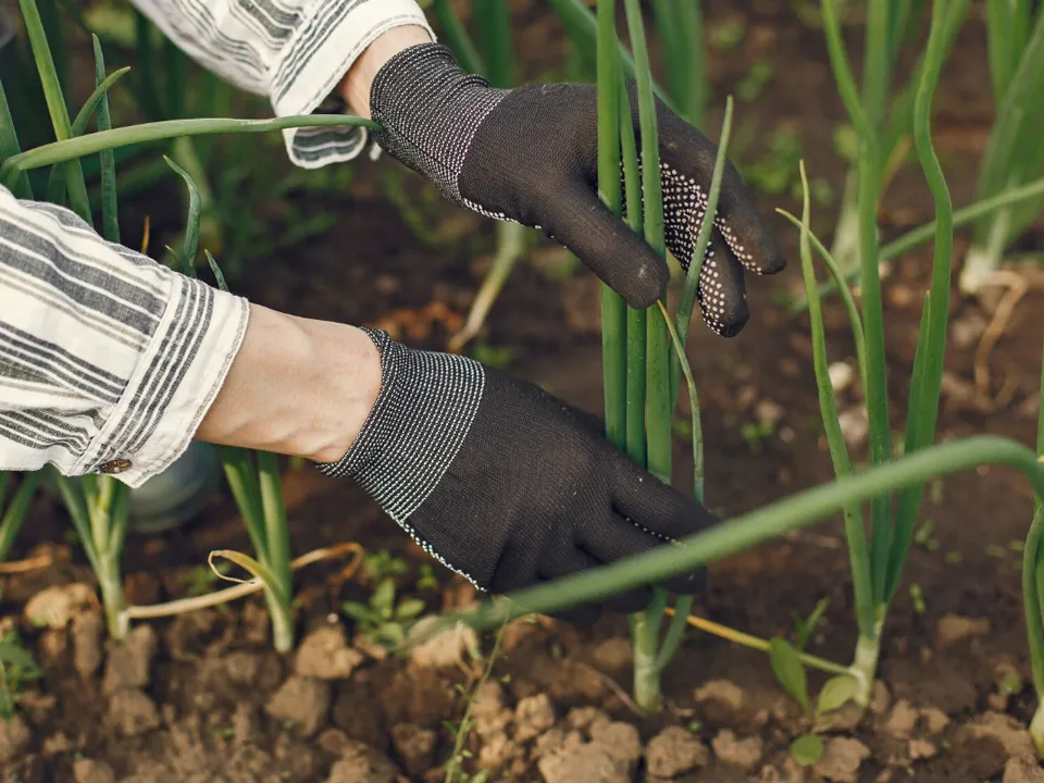 Фото: freepik.com