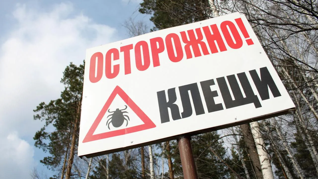 РИА Новости/Павел Лисицын