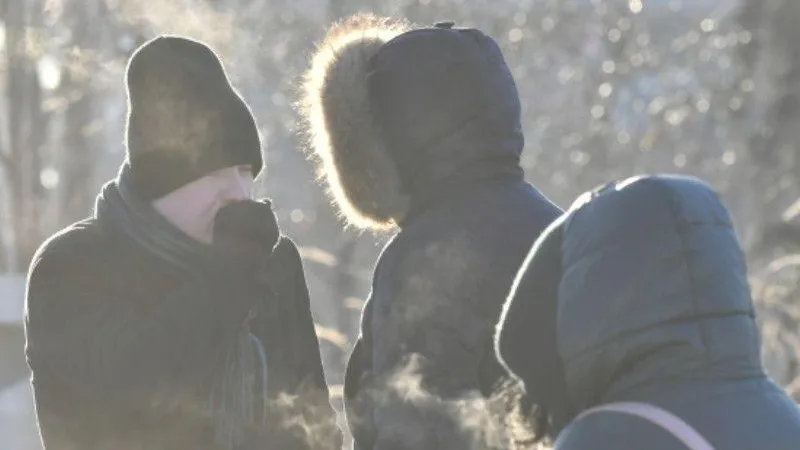 Во вторник в Подмосковье ожидается сильный ветер