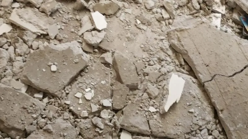 «Невские новости»