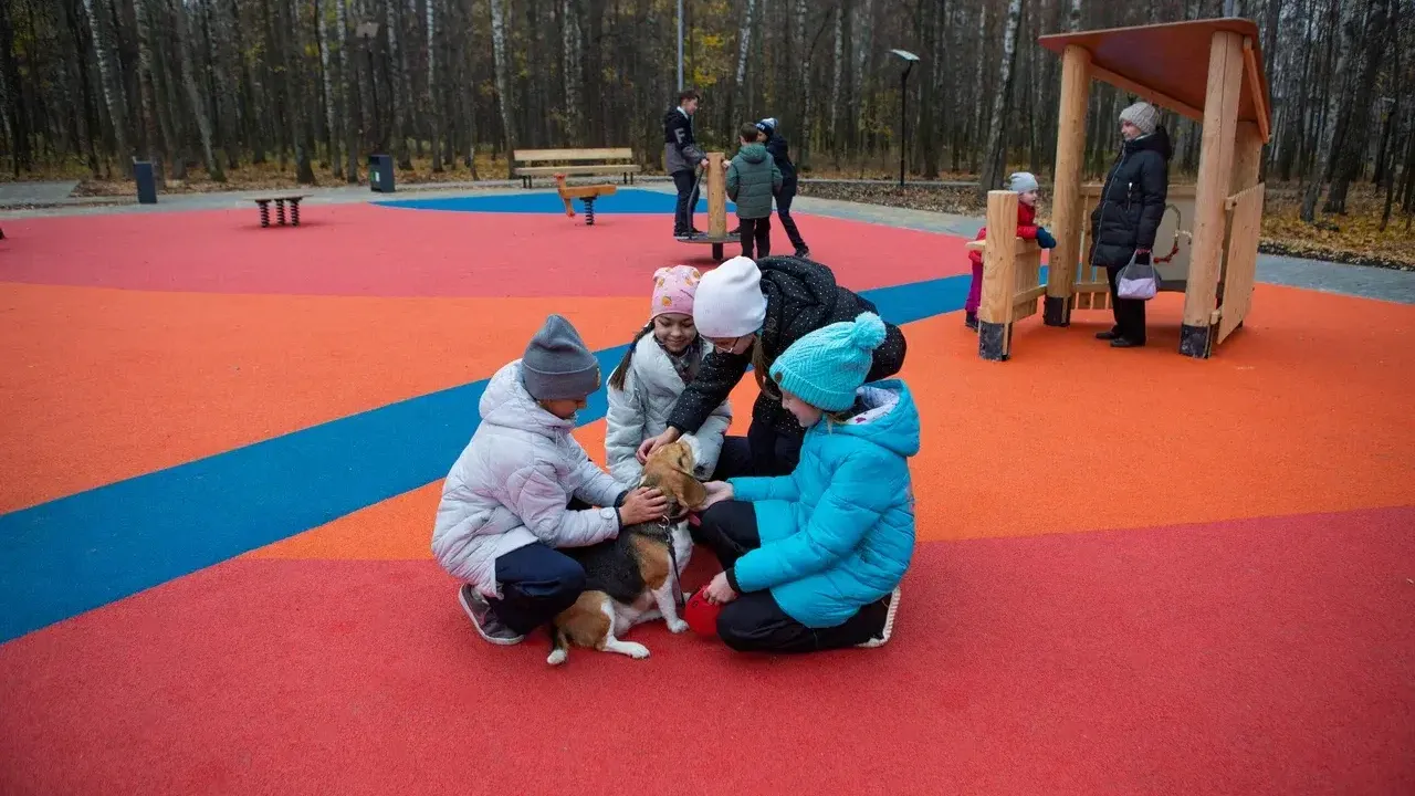 Министерство благоустройства Московской области