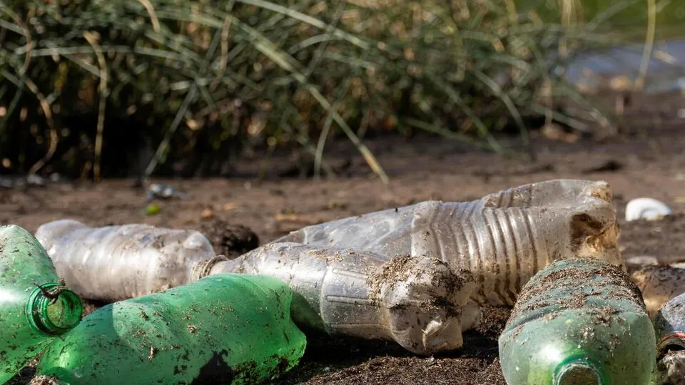 Фото: freepik.com