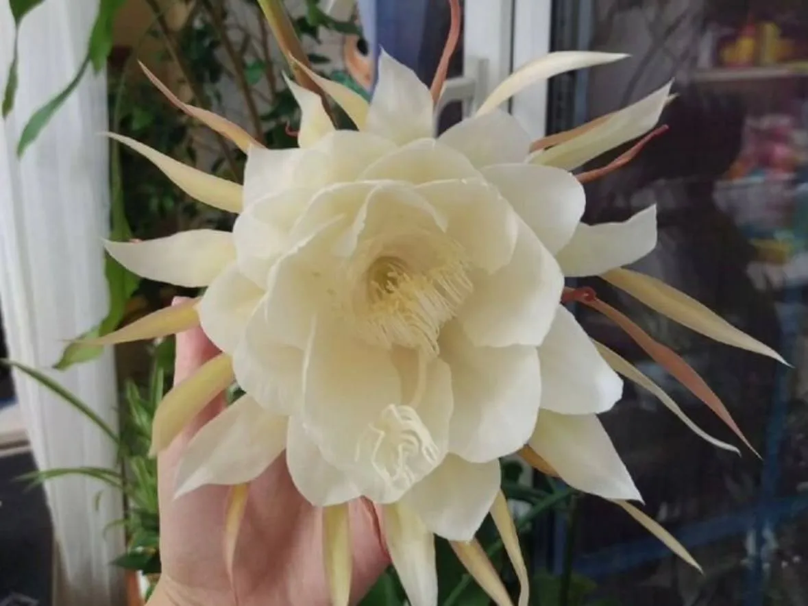 Фото: городская доска объявлений&nbsp;