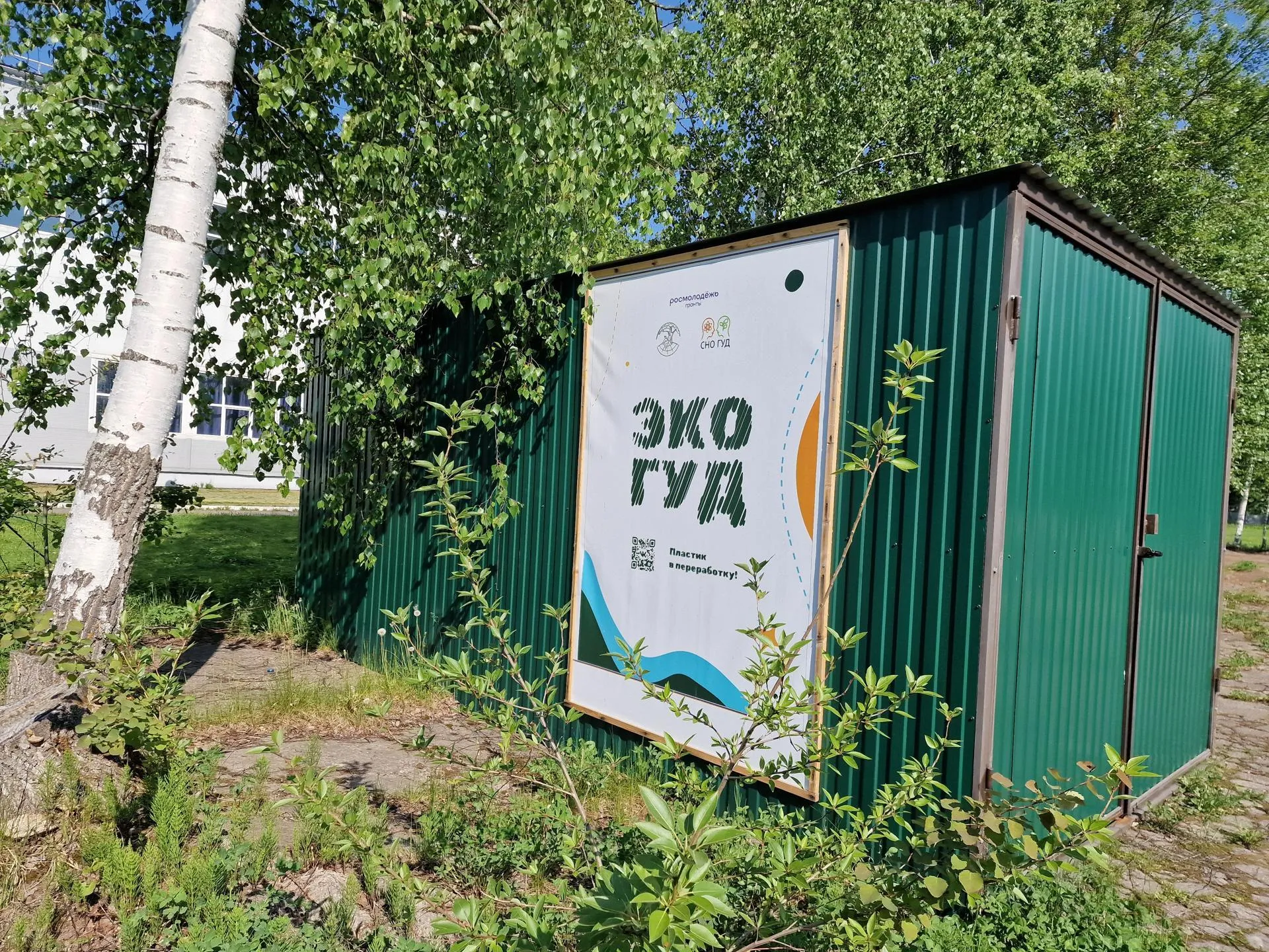 Картинка
