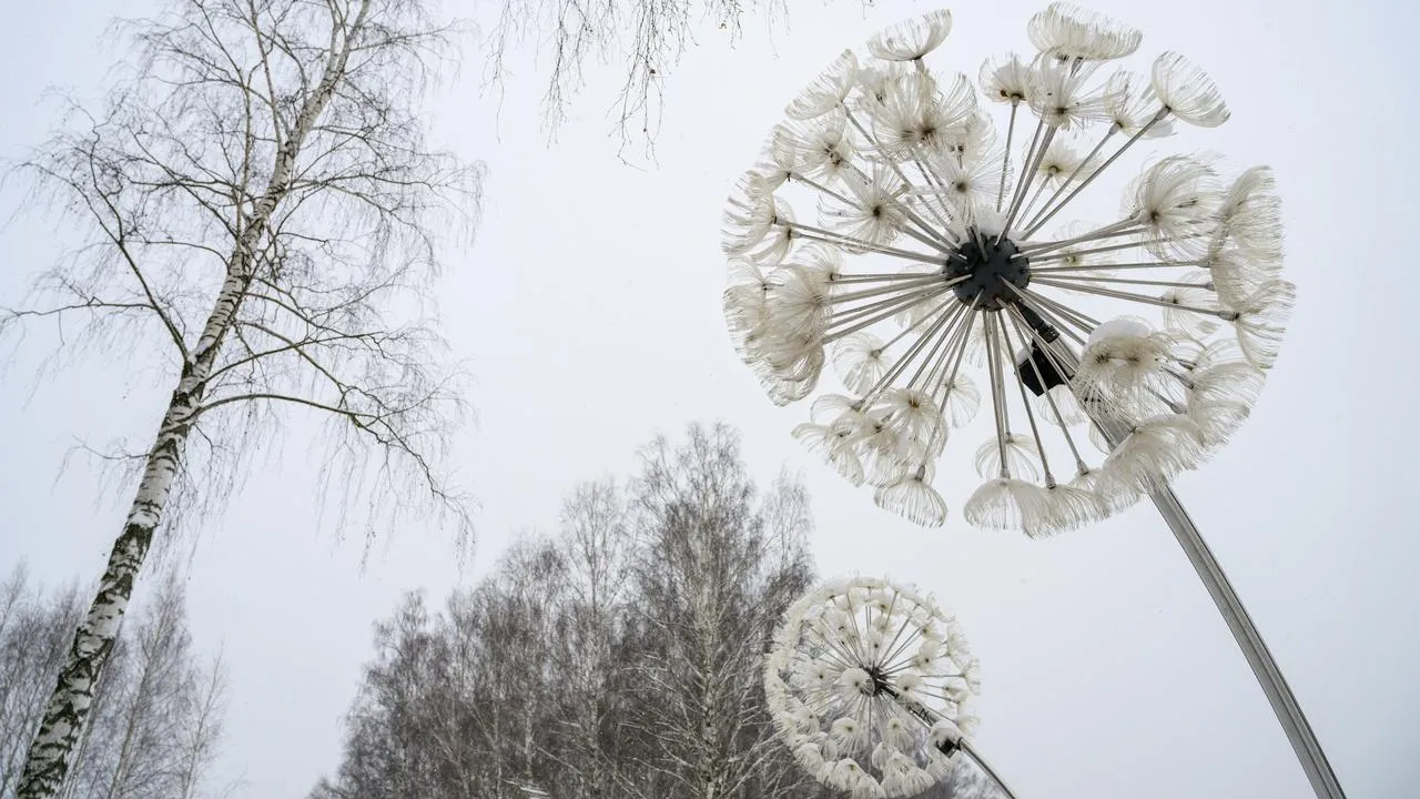 медиасток.рф