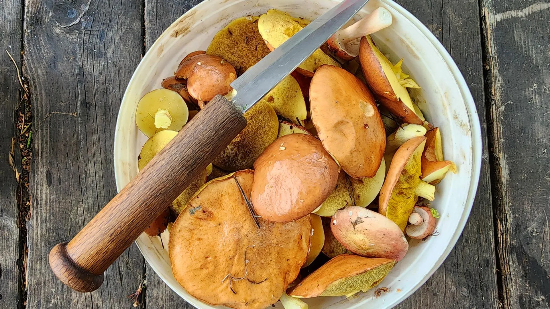 Фото: Ксения Пашуто