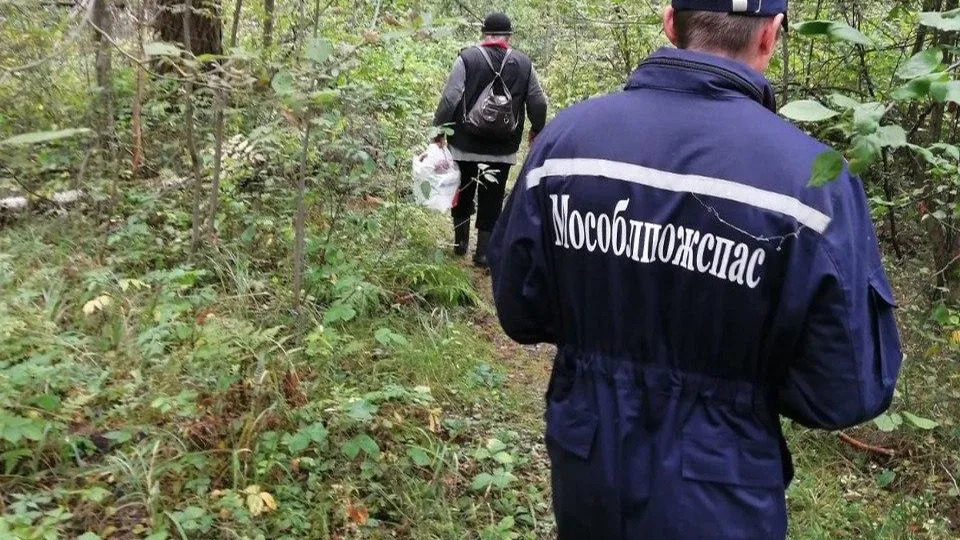 Фото: ГКУ МО «Мособлпожспас»