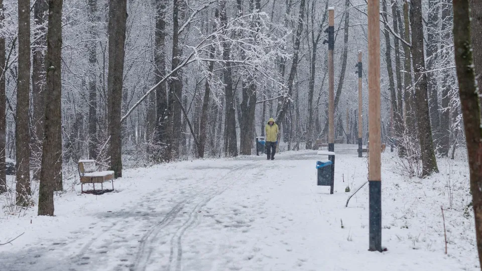 Фото: медиасток.рф