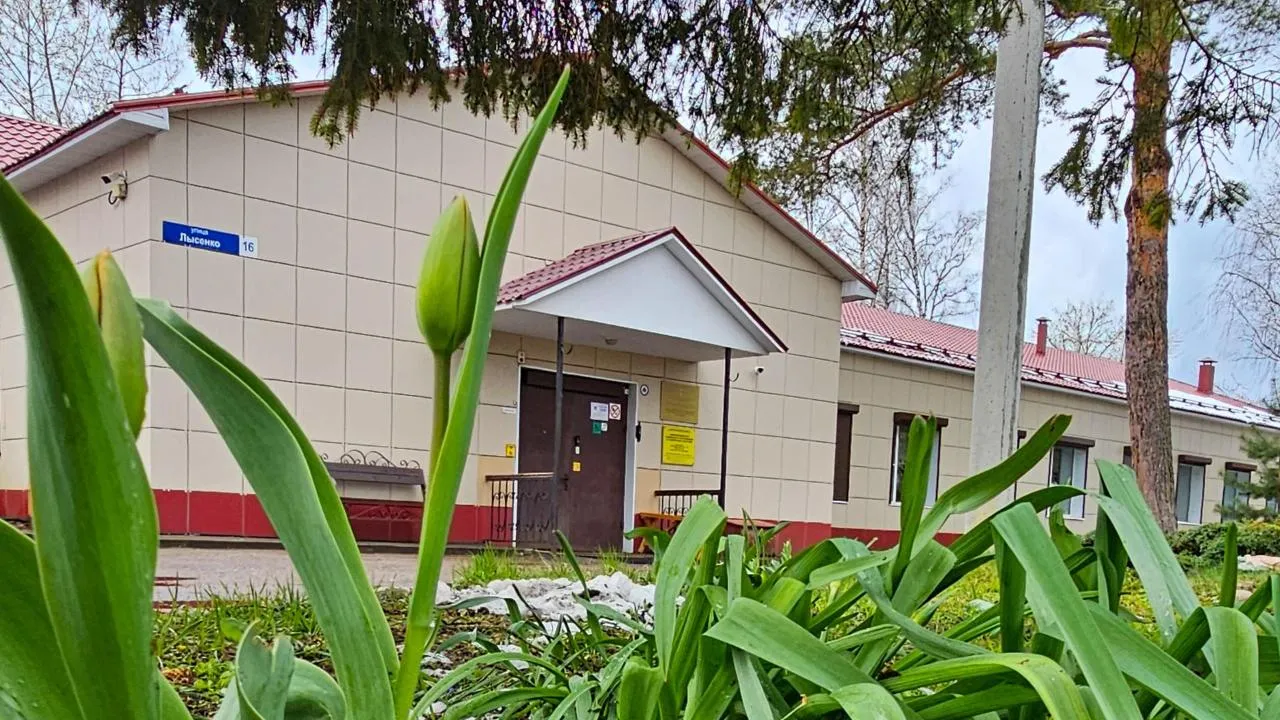 Картинка