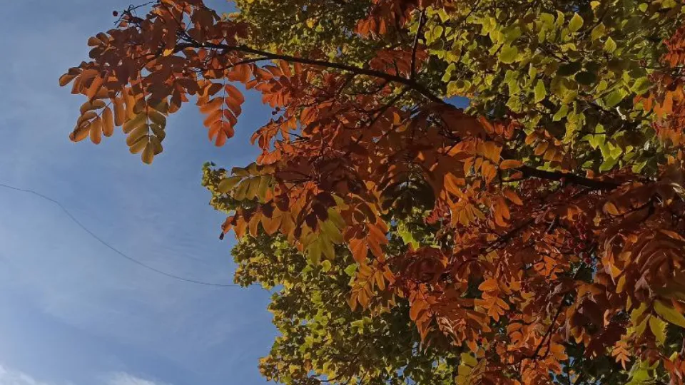 Фото: REGIONS/Эльвира Сафина